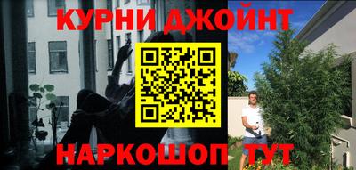 стаф Рязань
