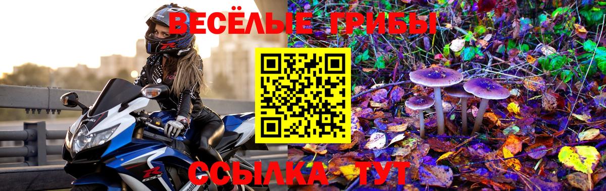 Псилоцибиновые грибы прущие грибы  Вход с VPN  Псилоцибиновые грибы Cubensis  Сафоново 